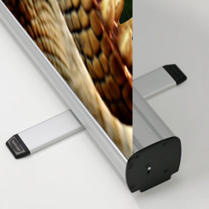 Raptor Roller Banner